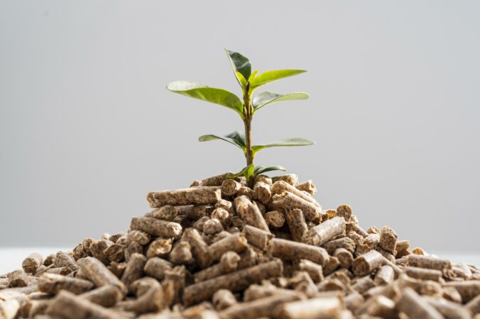 een klein plantje op een stapel pellets